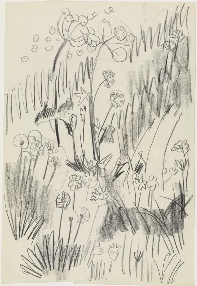 Blumenwiese