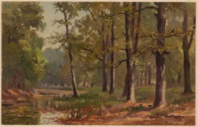 Boggy Forest