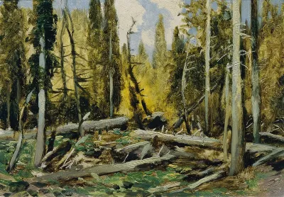 Bohmerwald 3