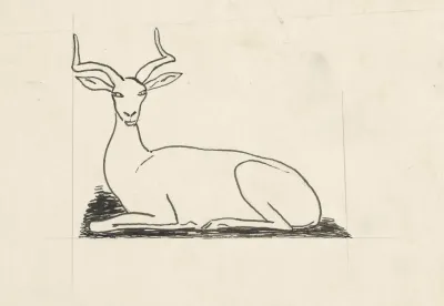 Bok
