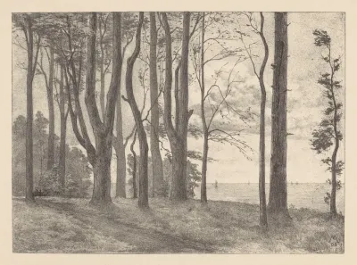 Bomen Aan Water Met Zeilboten Valkeveen