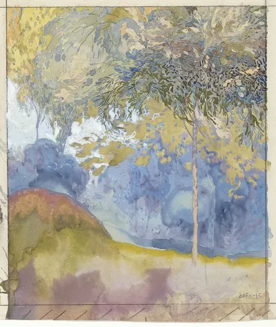 Boomrijk Landschap