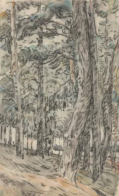 Boslandschap