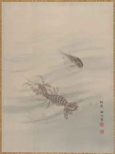 Bottom Of The Sea Showing Cray Fish