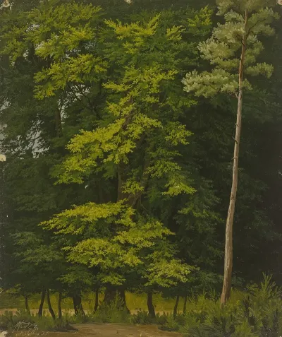 Broadleaf Forest Study In Oil 2