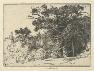 Browns Oak