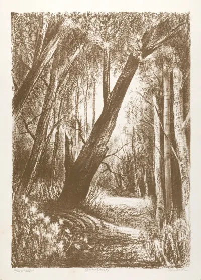 Browns Woods