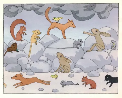 Buch Der Hasengeschichten Pl 11