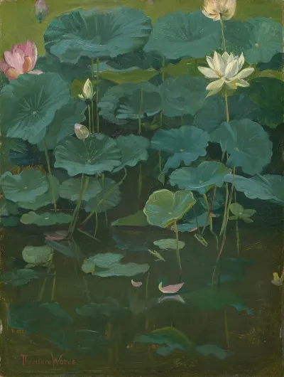 Buddhas Flowers Lotus Tokyo