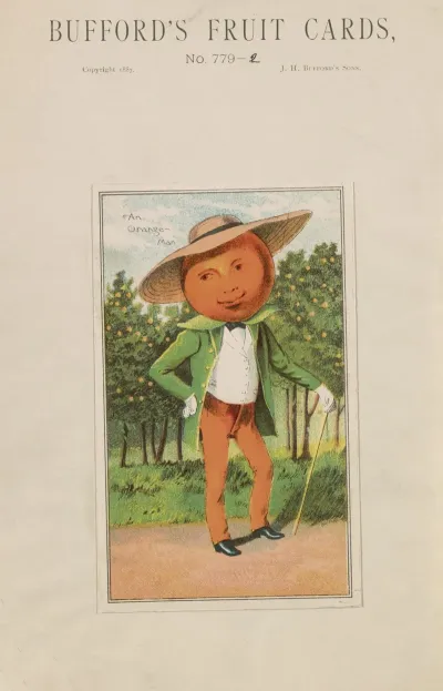 Buffords Fruit Cards No 779 2 Orange