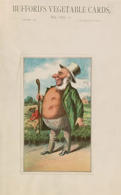 Buffords Vegetable Cards No 790 1 Potato