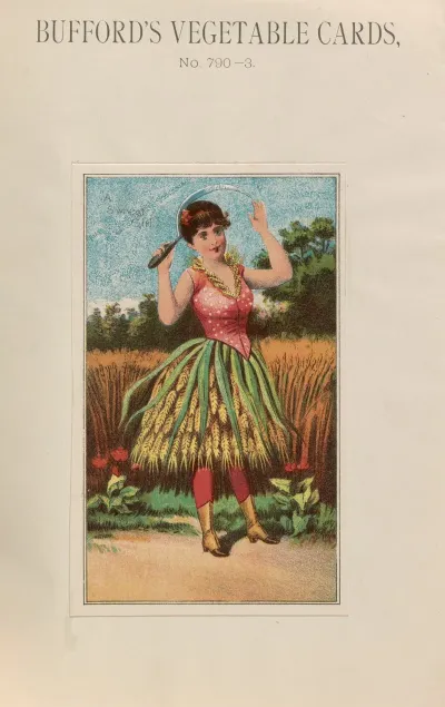 Buffords Vegetable Cards No 790 3 Wheat