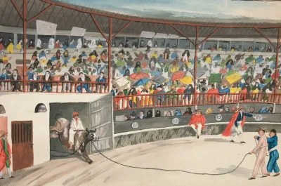 Bull Fight 3