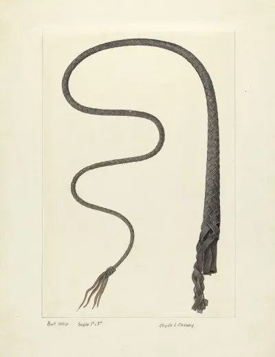 Bull Whip