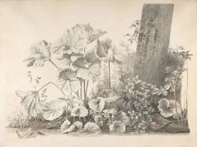 Burdocks Campions And Brambles By A Treetrunk On A River Bank