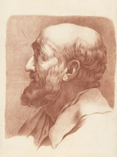 Bust Of A Bearded Man 2
