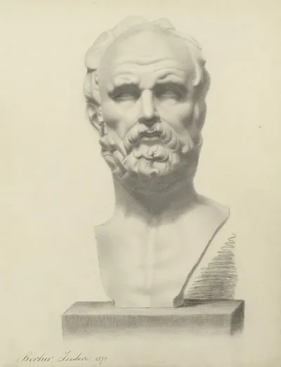 Bust Of A Man 7