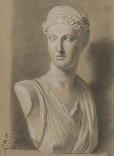 Bust Of Diana 2