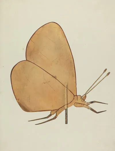 Butterfly Weather Vane