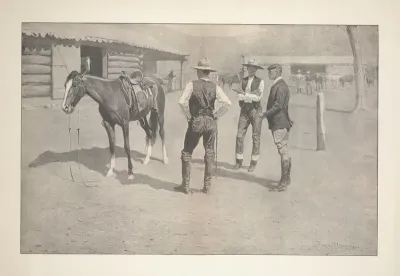 Buying Polo Ponies In The West
