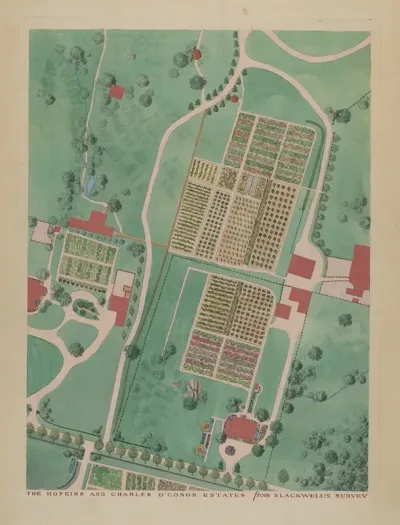 C Oconnor And J M Hopkins Estate