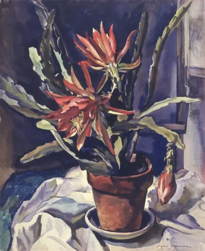 Cactus 5