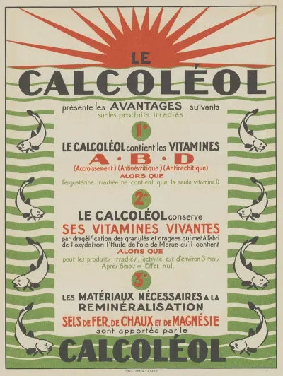 Calcoleol 3