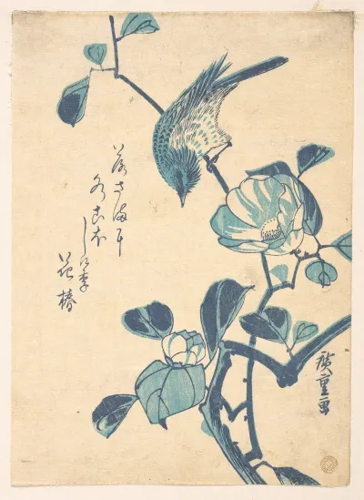 Camellia And Bird