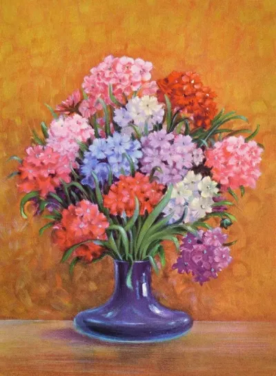 Candytuft