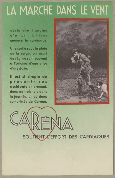 Carena
