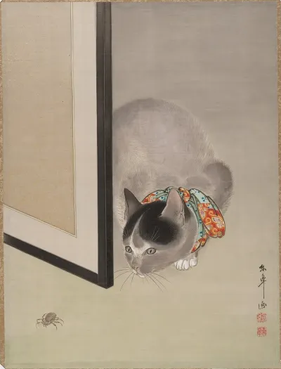 Cat Watching A Spider
