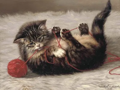 Cats Cradle