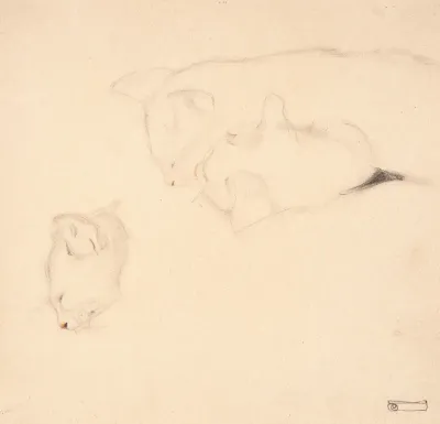 Cats Studies