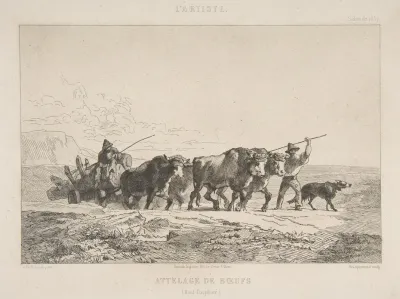 Cattle Team Haut Dauphine
