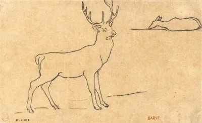 Cerf Debout A Droite