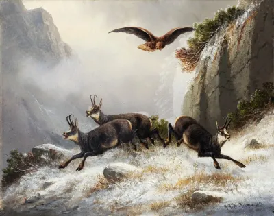 Chamois Persecuted By An Eagle