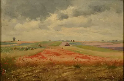 Champ Dorge Et De Coquelicots A Pontgivart