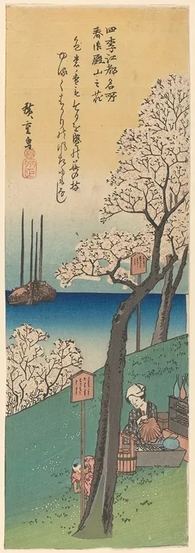 Cherry Blossoms Picnickers