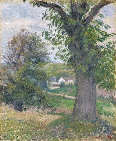 Chestnut Trees In Osny