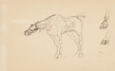 Cheval Et Sabots