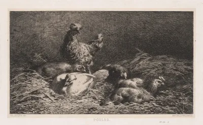 Chickens 3