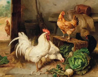 Chickens And Cockerel In A Barn