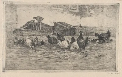 Chickens And Coops