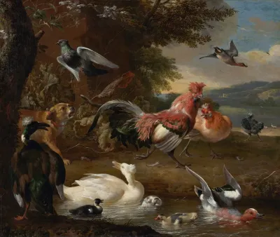 Chickens And Ducks