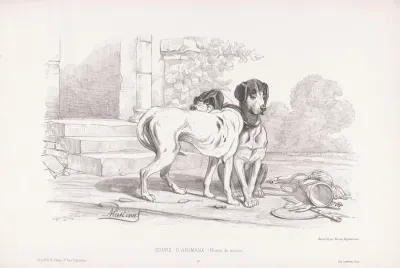 Chiens De Meute