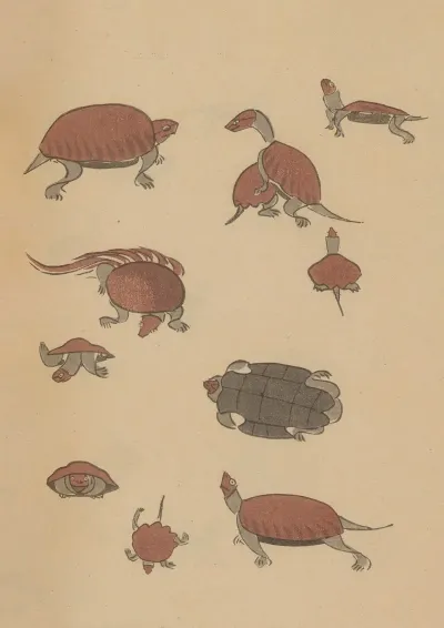 Choju Ryakugashiki Pl 39