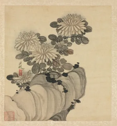 Chrysanthemum And Rock