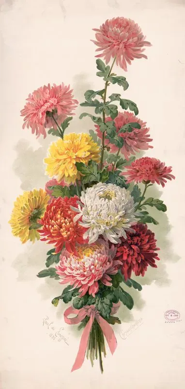Chrysanthemums 10