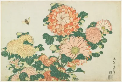 Chrysanthemums And Horsefly