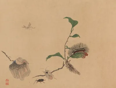 Chuka Senzen Pl 05